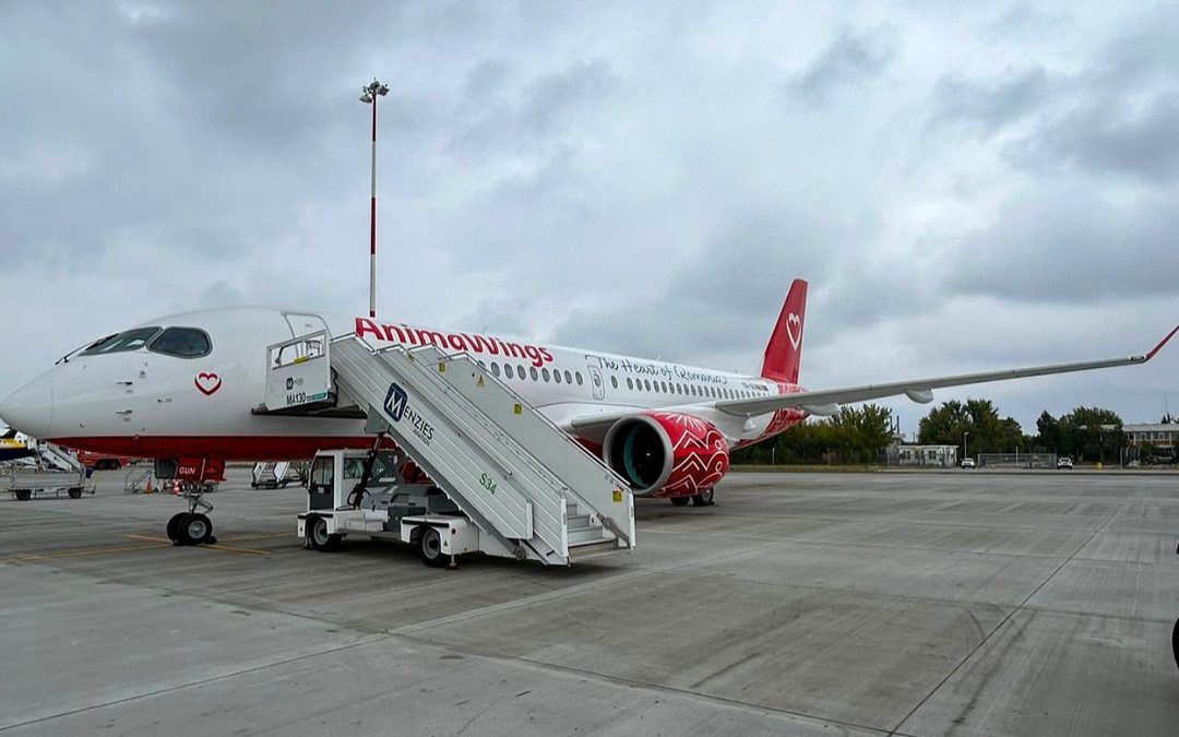 Animawings – A treia aeronavă Airbus A220-300, nou-nouță, a ajuns la București direct din fabrica Airbus din Canada!